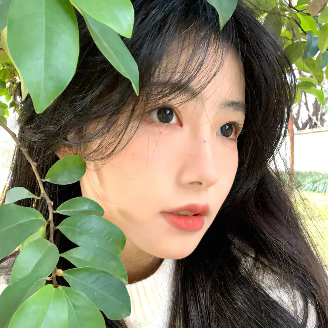 挑情宝鉴